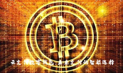 云支付数字钱包：未来支付的智能选择