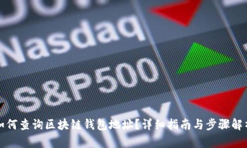 如何查询区块链钱包地址？详细指南与步骤解析