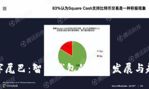 数字尾巴：智能钱包的未来发展与趋势