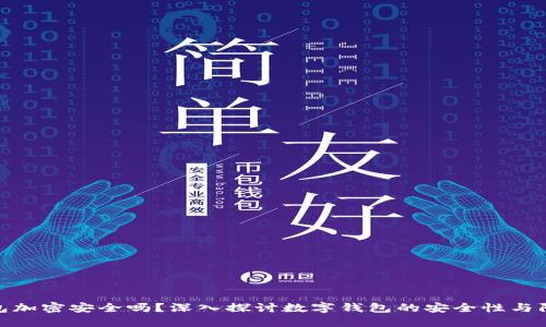 数字钱包加密安全吗？深入探讨数字钱包的安全性与防护措施