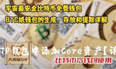 如何在TP钱包中添加Core资
