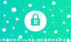 如何安全使用Chia钱包：指