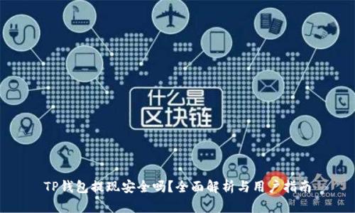 TP钱包提现安全吗？全面解析与用户指南