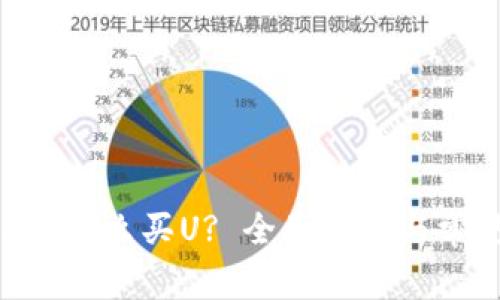 TokenPocket怎么买U? 全面指南与常见问题解答