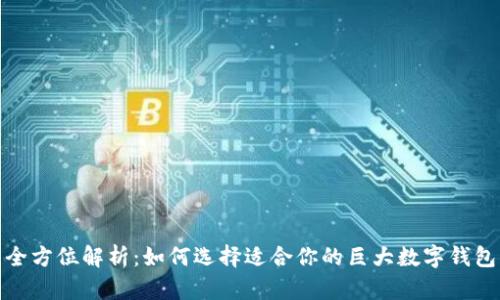 全方位解析：如何选择适合你的巨大数字钱包
