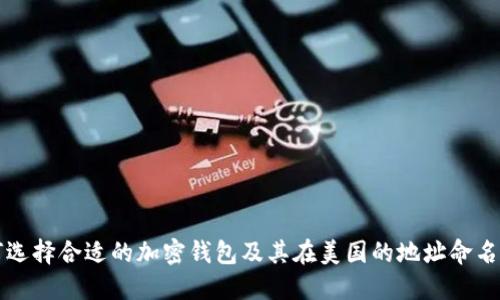 如何选择合适的加密钱包及其在美国的地址命名规则