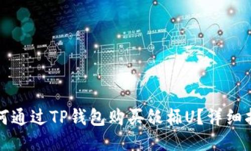 如何通过TP钱包购买饭桶U？详细指南