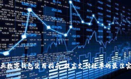 企业数字钱包使用指南：提高支付效率的最佳实践