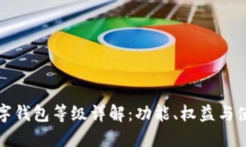农行数字钱包等级详解：功能、权益与使用指南