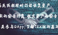    TP钱包中的TRX链解析：理