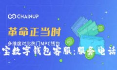 如何快速联系波宝数字钱