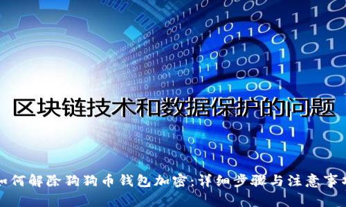 如何解除狗狗币钱包加密：详细步骤与注意事项