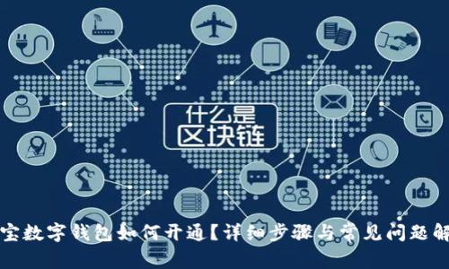 淘宝数字钱包如何开通？详细步骤与常见问题解答