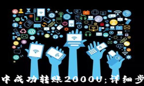 
如何在TP钱包中成功转账2000U：详细步骤与注意事项