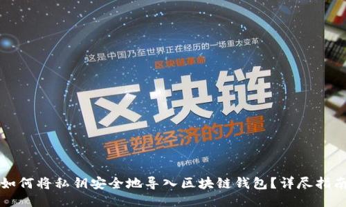 如何将私钥安全地导入区块链钱包？详尽指南