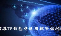 如何在TP钱包中使用梯子访