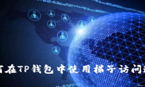 如何在TP钱包中使用梯子访问速度