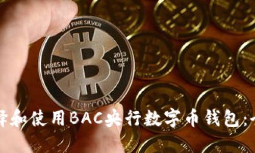 如何选择和使用BAC央行数字币钱包：全面指南