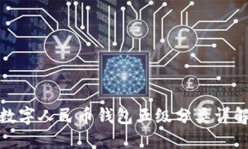 数字人民币钱包五级分类详解
