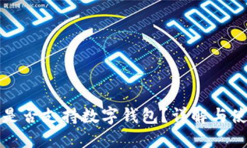 亚马逊是否支持数字钱包？详解与使用技巧