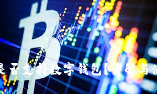 亚马逊是否支持数字钱包？详解与使用技巧