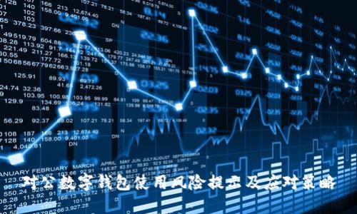 对公数字钱包使用风险提示及应对策略