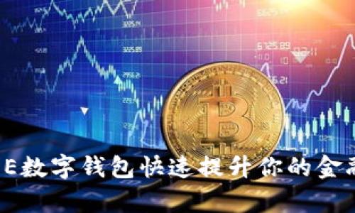如何利用OE数字钱包快速提升你的金融管理效率
