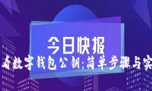 如何查看数字钱包公钥：简单步骤与实用指南