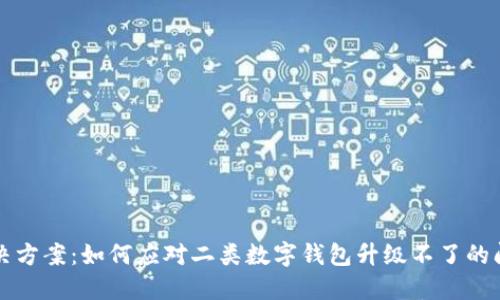 解决方案：如何应对二类数字钱包升级不了的问题