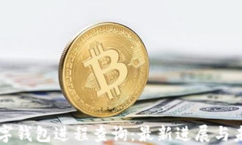 
央行数字钱包进程查询：最新进展与未来展望