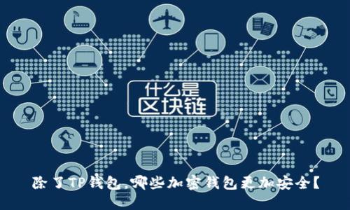 除了TP钱包，哪些加密钱包更加安全？