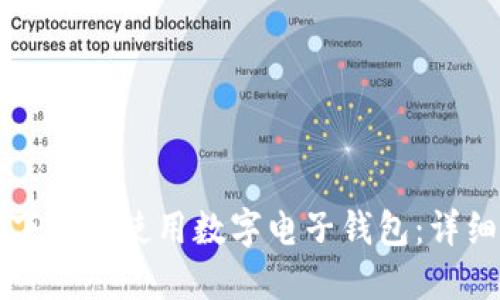 如何下载与使用数字电子钱包：详细指南