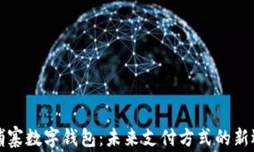 
柬埔寨数字钱包：未来支付方式的新选择