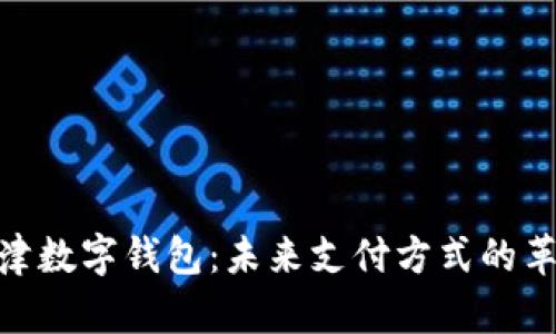 天津数字钱包：未来支付方式的革命