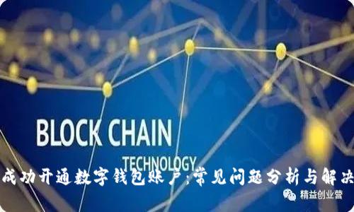 如何成功开通数字钱包账户：常见问题分析与解决方案
