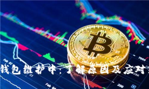  TP钱包维护中：了解原因及应对策略