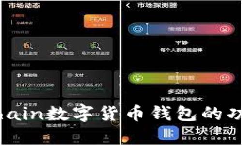 全面解析：Michain数字货币钱包的功能与使用指南
