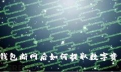 TP钱包断网后如何提取数字