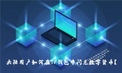 大陆用户如何在TP钱包中闪