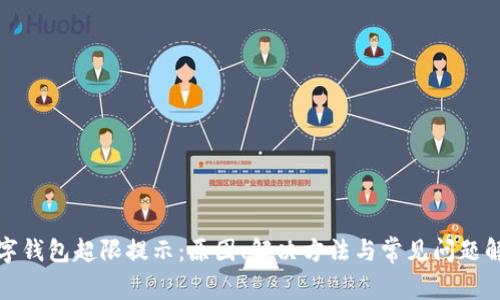 数字钱包超限提示：原因、解决方法与常见问题解析