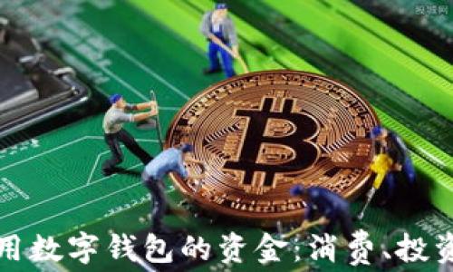 
如何高效使用数字钱包的资金：消费、投资与管理指南