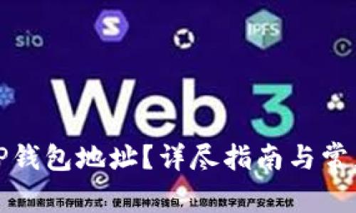 如何查看TP钱包地址？详尽指南与常见问题解答