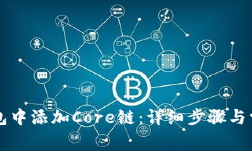 如何在TP钱包中添加Core链：详细步骤与常见问题解析