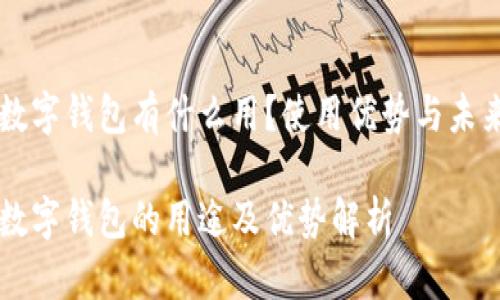 固态数字钱包有什么用？使用优势与未来展望

固态数字钱包的用途及优势解析
