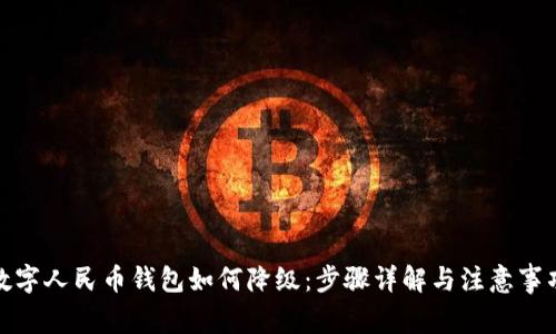 数字人民币钱包如何降级：步骤详解与注意事项