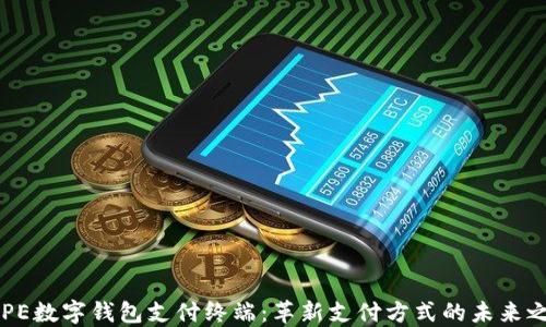 
DCPE数字钱包支付终端：革新支付方式的未来之选