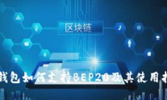 TP钱包如何支持BEP20及其使