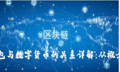 数字钱包与数字货币的关系详解：从概念到应用