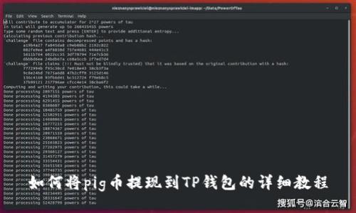 如何将pig币提现到TP钱包的详细教程