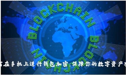 如何在手机上进行钱包加密：保障你的数字资产安全